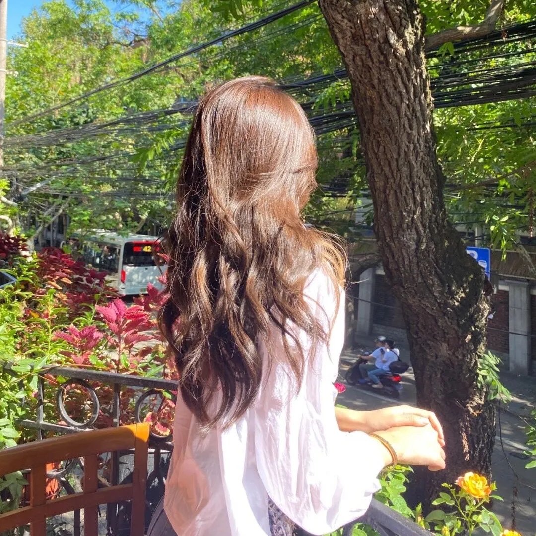 蒂莫西的奇异生活